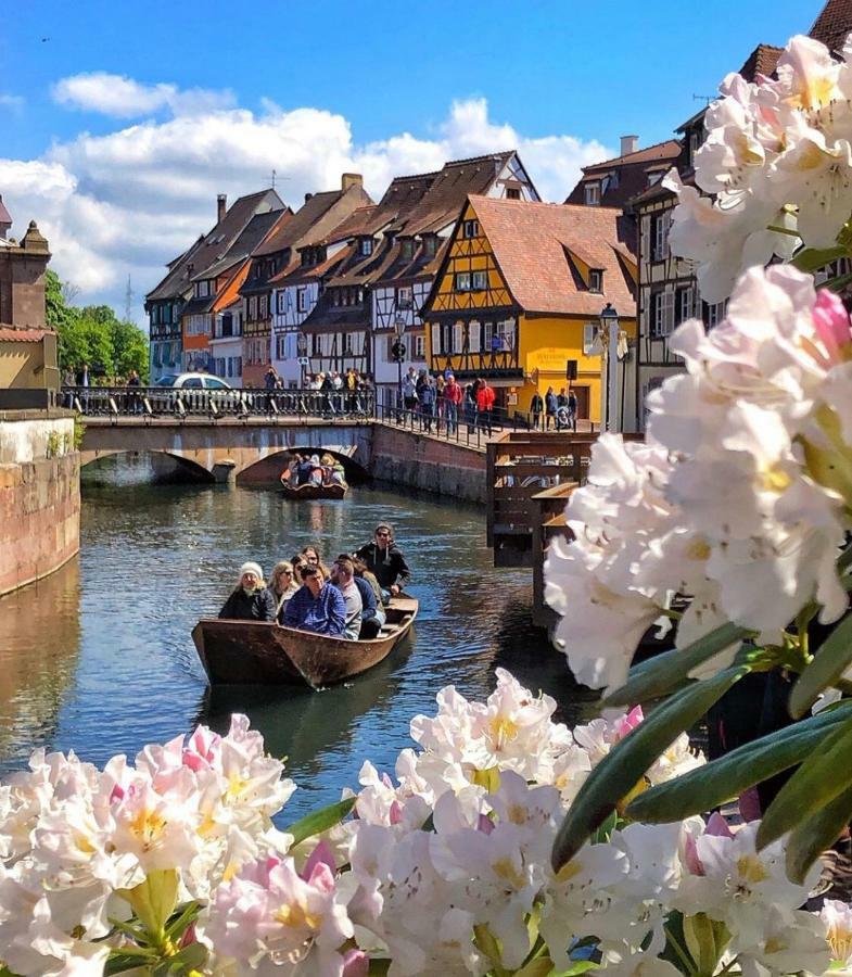 Djokovic'S Apartment Colmar Eksteriør bilde